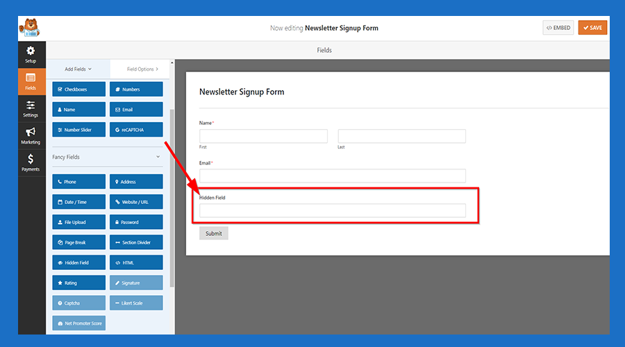 4-Hidden Field shows at the bottom of the form.png