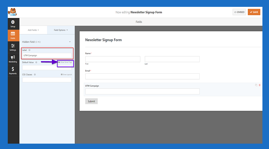 6-Give the name for your Hidden Field and then Click the 'Show Smart Tag'.png
